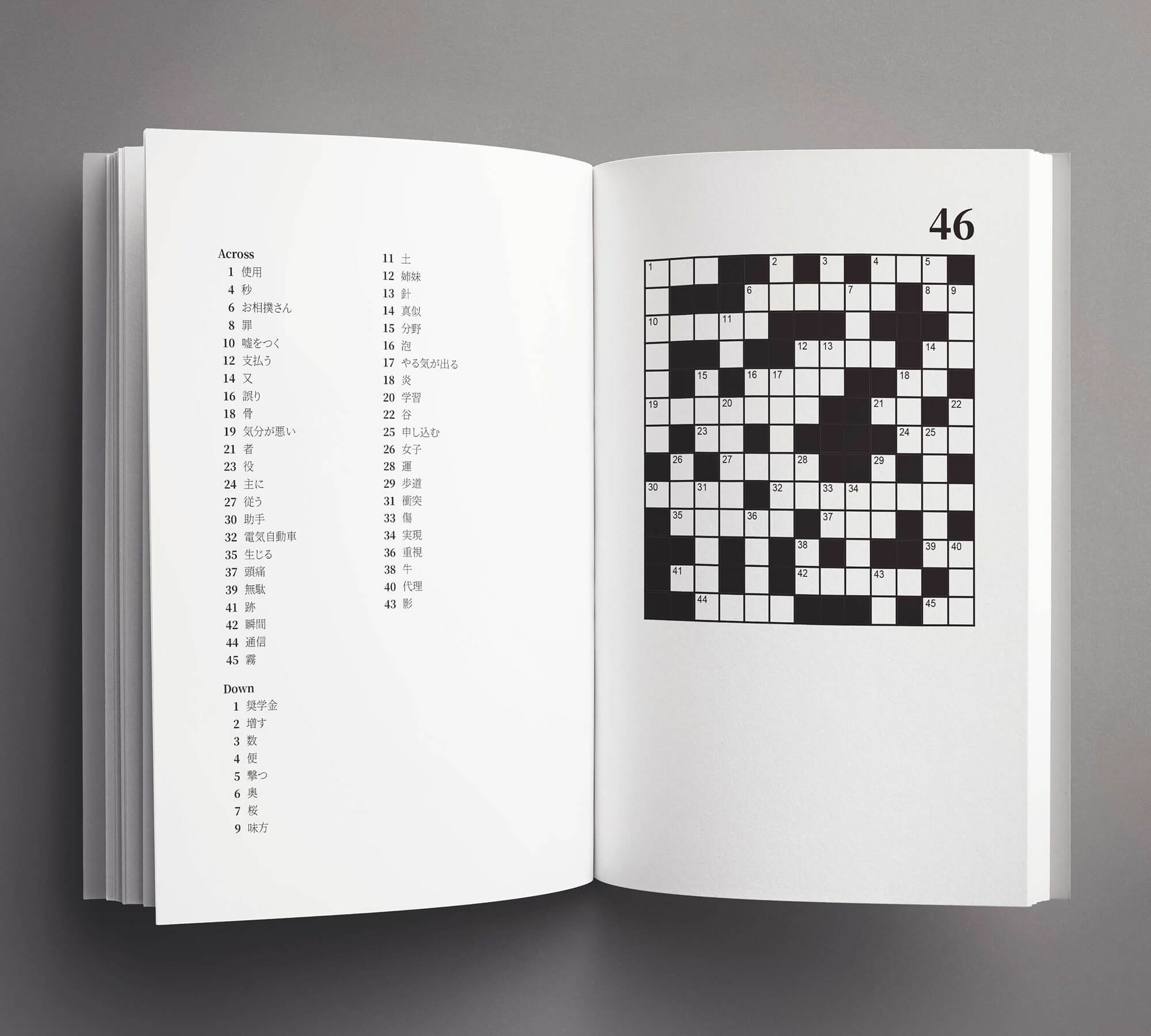 Japanese Crossword Puzzle - Kanji